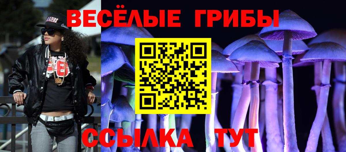 Галлюциногенные грибы Psilocybe  Вход с VPN  Балабаново 